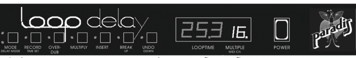 Echoplex , Paradies LoopDelay , Evoloop