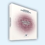 Vienna 04 Orchestral Strings 2  Standard (DVD Aktion)