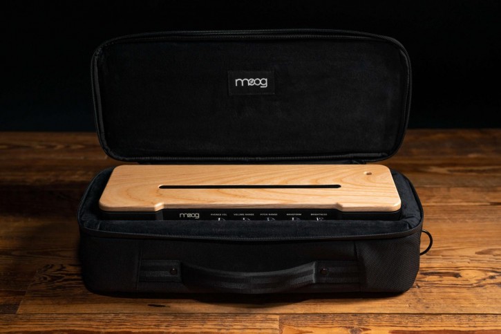 Moog Etherwave SR Series Case