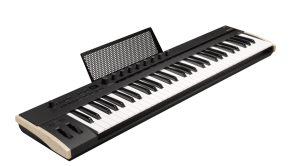 Korg Keystage-61