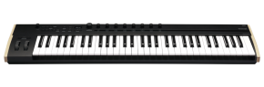 Korg Keystage-61