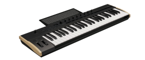 Korg Keystage-49