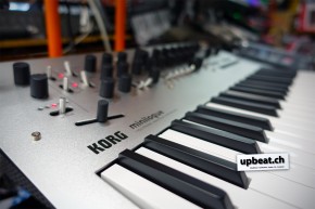 Korg MiniLogue 4 voice analog silver