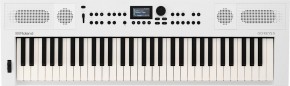 Roland GO:KEYS 5 (WHITE)