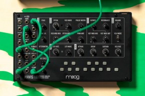 Moog Mavis