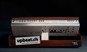 Moog Minimoog Model D 2022
