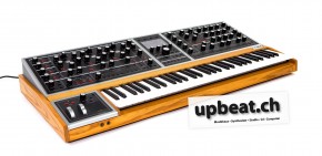 Moog One 16-voice Analog Synthesizer