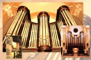 Best Service - Organum Venezia