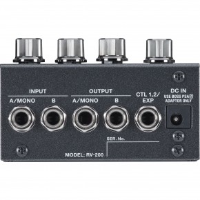 Boss RV-200