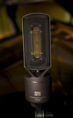 Rode NTR Ribbon Mic