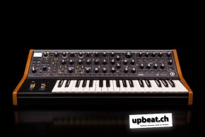 Moog Subsequent 37