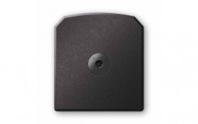 Alto TS 12S - Active Subwoofer