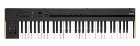 Korg Keystage-61