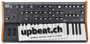 Moog Subsequent 37
