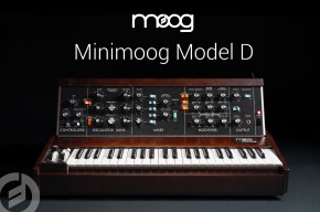 Moog Minimoog Model D 2022
