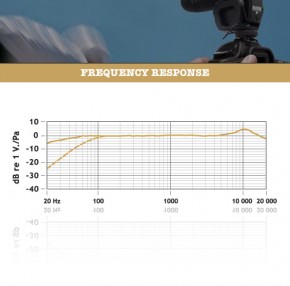 Rode Videomic Pro R (Rycote)